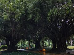 -南宁南湖公园
