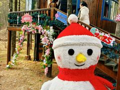 -洛阳白云山景区