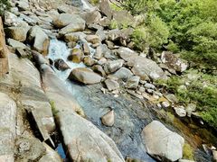 -海南热带雨林国家公园吊罗山景区