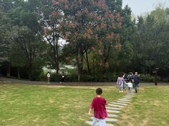-习家池