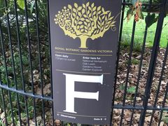 -墨尔本皇家植物园