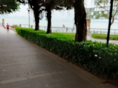 -深圳湾公园-停车场