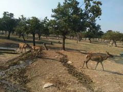 -西安秦岭野生动物园