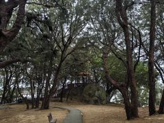 -宋井风景区