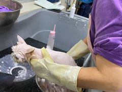 -北京观赏动物医院·24小时大型综合·猫专科·异宠专科