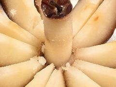 -北丐先生·野馄饨烧烤(长宁龙之梦店)