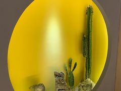 -得闲·高空SPA(东盟店)