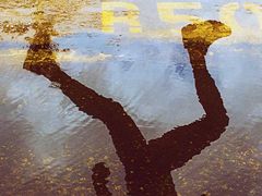 -淼鑫猪肚鸡(钟村店)