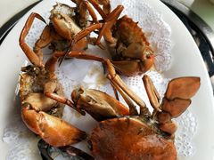 -鑫悦楼煎蟹·16年海鲜大排档