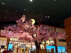 -大江户·温泉洗浴(浑南店)