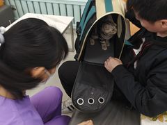 -北京观赏动物医院·24小时大型综合·猫专科·异宠专科
