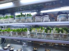 -鸿腾国际大酒店-海鲜姿造海鲜烤肉自助餐
