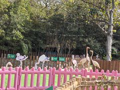 -上海野生动物园