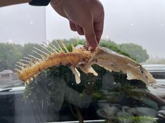 -风味小馆(天目湖宾馆店)