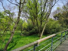 -西湖风景区-江洋畈生态公园