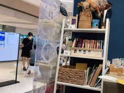 -海马体家庭照相馆(杭州远洋乐堤港店)