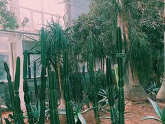 -济南植物园