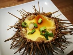 -海胆小馆(东北水饺·春柳店)