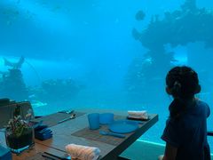 -海棠湾洲际-涛·海底餐厅·美人鱼·自助餐·海底隧道