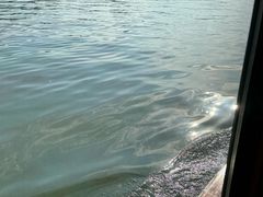 -西湖游船