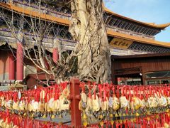 -崇圣寺三塔文化旅游区