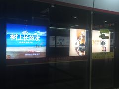 -潭村(地铁站)