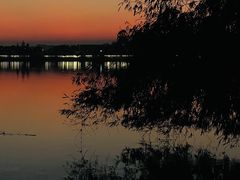 -鹤之洲湿地公园