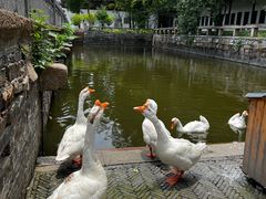 -苏州文庙(姑苏区)