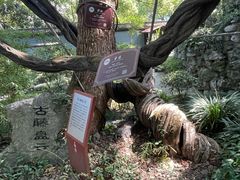 -绮园景区
