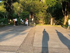 -明仕田园