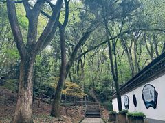 -上海佘山国家森林公园天马山园