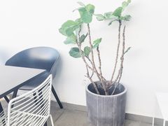 -UNI UNI(环亚凯瑟琳店)