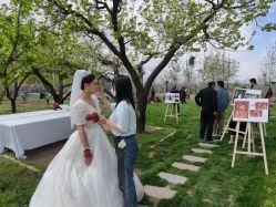 -Sunny喜铺婚礼策划(东部店)