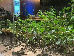 -黄山老妈·土菜(碧桂园店)