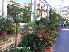 -The Grounds of Alexandria