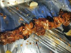 -正宗新疆天山烧烤(贵新街店)