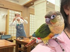 -七色云蔬食(喜邻里店)