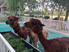 -水上乐园·欢乐世界