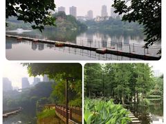 -铁山坪森林公园