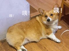 -Oasis coffee燕谷咖啡(公信店)