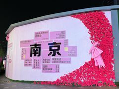 -南京时尚莱迪购物广场(正洪街店)