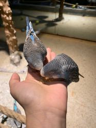 -酷嗒动物文化乐园(cutezoo西溪乐天城店)