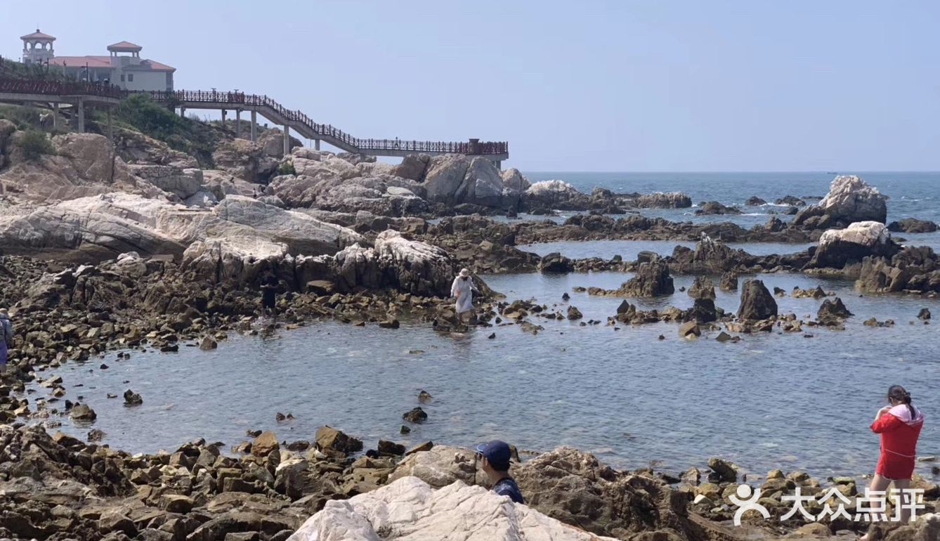 打卡✅抖音网红养马岛🌊🌊