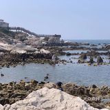 打卡✅抖音网红养马岛🌊🌊