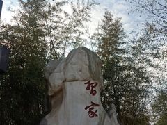 -习家池