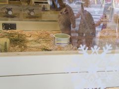 -龙猫仔乐园(惠福东路店)