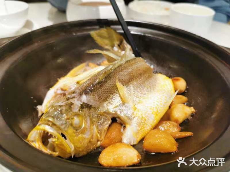 0元探店  小庆鱼仔菜品适合干饭人