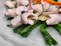 碧绿炒鱼卷-壹零贰小馆(桂城石啃店)
