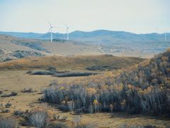 -塞罕坝国家级自然保护区