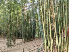 -清远鱼水旅游风景度假区